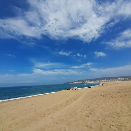 Figueira Dream Figueira da Foz